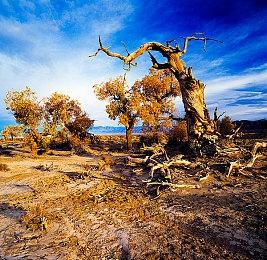 《我的世界》新情报 4人同乘飞控载具公开