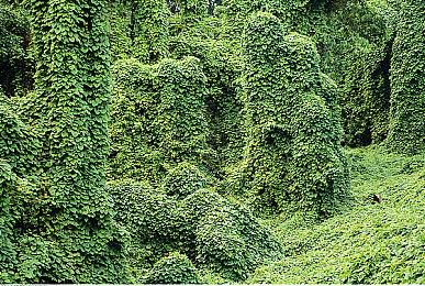 《星空》Steam页面更新 或将开启预购